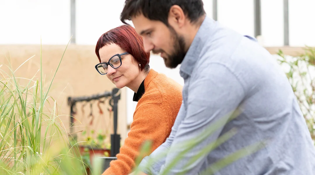 Un homme et une femme plantent des plantes dans un jardin pour intégrer la biodiversité.