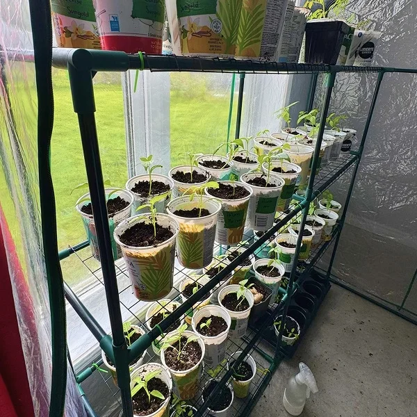 Un support avec plusieurs pots de plantes disposés de manière ordonnée.