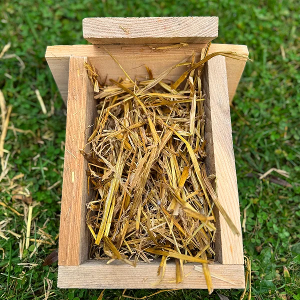 Une boîte en bois remplie de foin, posée sur l'herbe, servant d'abri pour chrysopes et papillons.