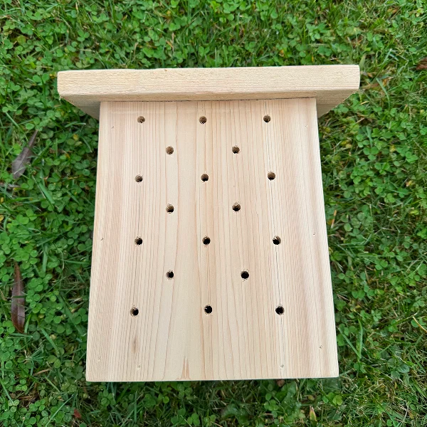 Une boîte en bois pour abeilles avec des trous, conçue pour abriter des chrysopes et des papillons.