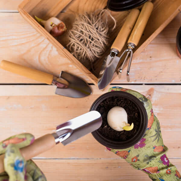 Un jardin sauvage et verdoyant favorisant la biodiversité avec diverses plantes et fleurs indigènes.