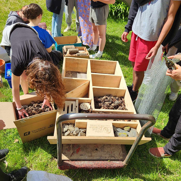 Un groupe de personnes se tient autour d'une table avec des boîtes de pierres, en lien avec un projet d'hôtel à insectes.