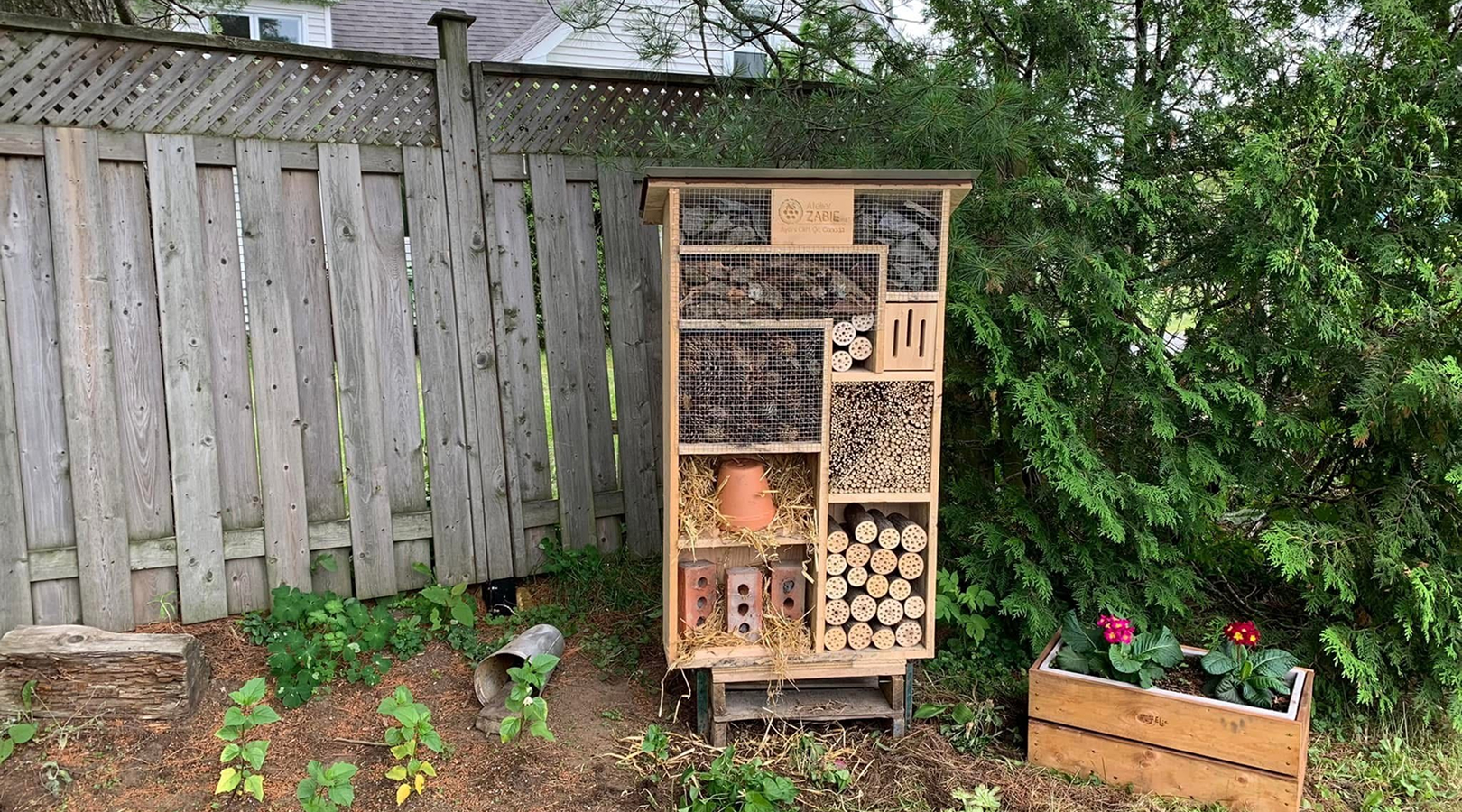 Une maison à abeilles en bois, comprenant un cabinet et une boîte en bois, conçue pour accueillir divers insectes.