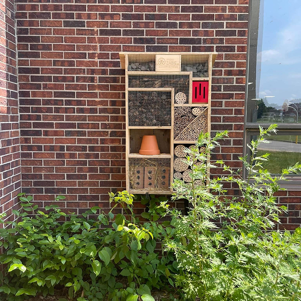 Une boîte à insectes murale avec une plante posée dessus, favorisant la biodiversité dans un environnement naturel.