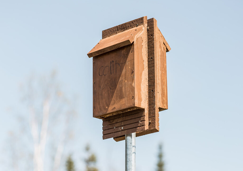 Nichoir à oiseaux en bois pour attirer la faune et soutenir la biodiversité au jardin
