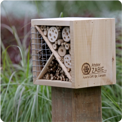 solutions gale2 hautement